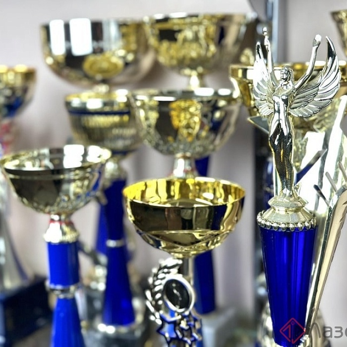 Кубки 7 Кубки 7