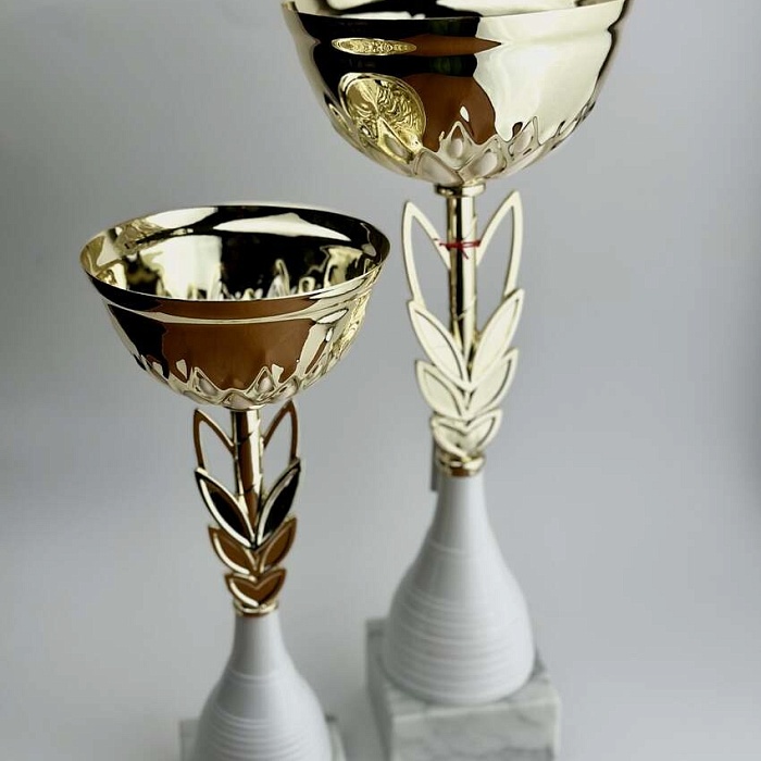 Кубки 10 Кубки 10