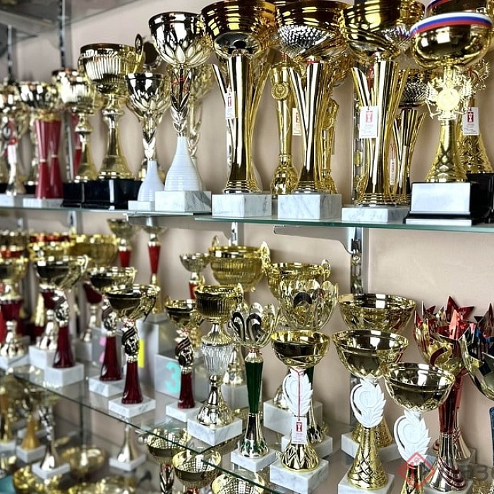 Кубки 5 Кубки 5