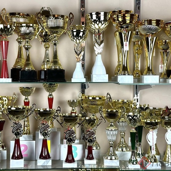 Кубки 4  Кубки 4