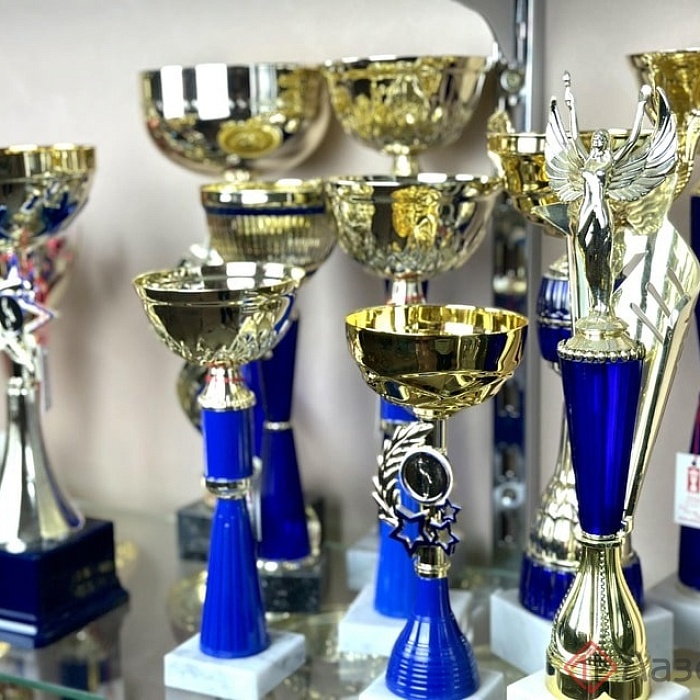 Кубки 6 Кубки 6